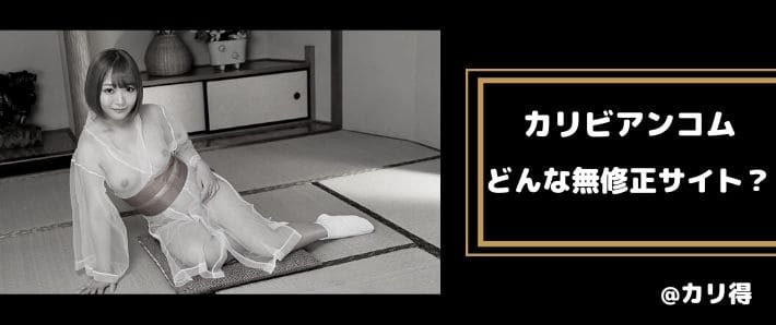 どんな無修正サイト?