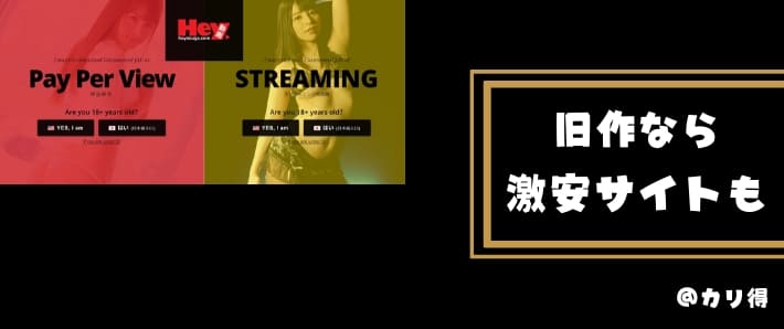 旧作なら激安サイトもある
